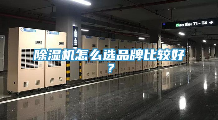 辣椒视频APP下载并安装怎么选品牌比较好？