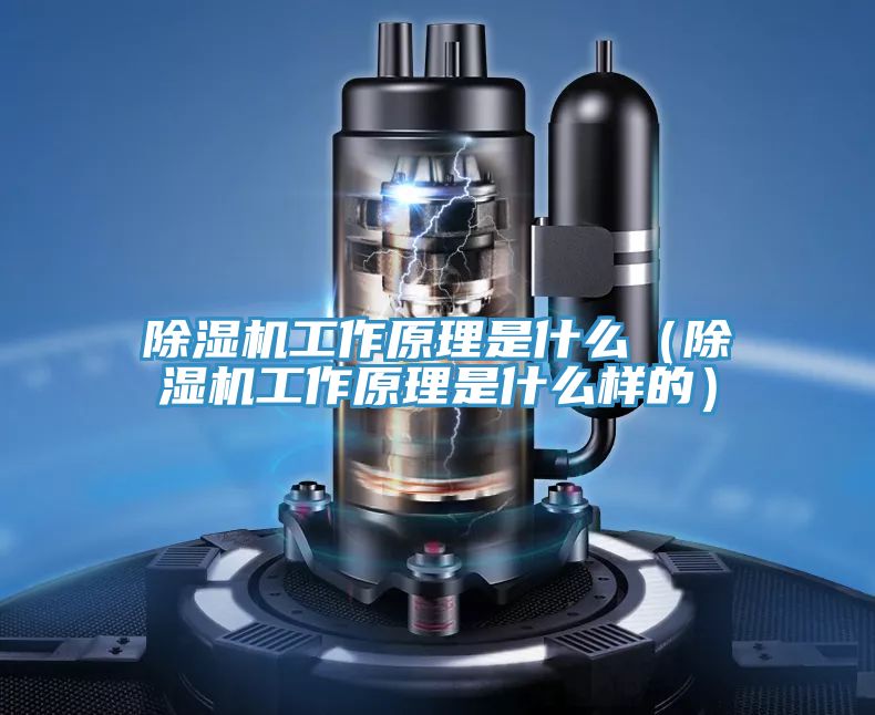 辣椒视频APP下载并安装工作原理是什么（辣椒视频APP下载并安装工作原理是什么样的）