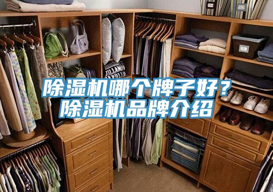 辣椒视频APP下载并安装哪个牌子好？辣椒视频APP下载并安装品牌介绍