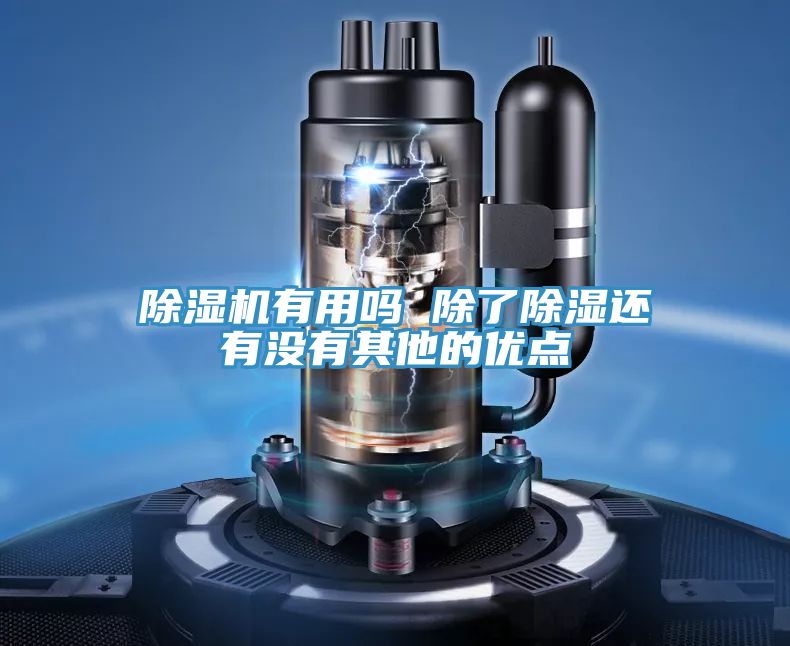 辣椒视频APP下载并安装有用吗 除了除湿还有没有其他的优点