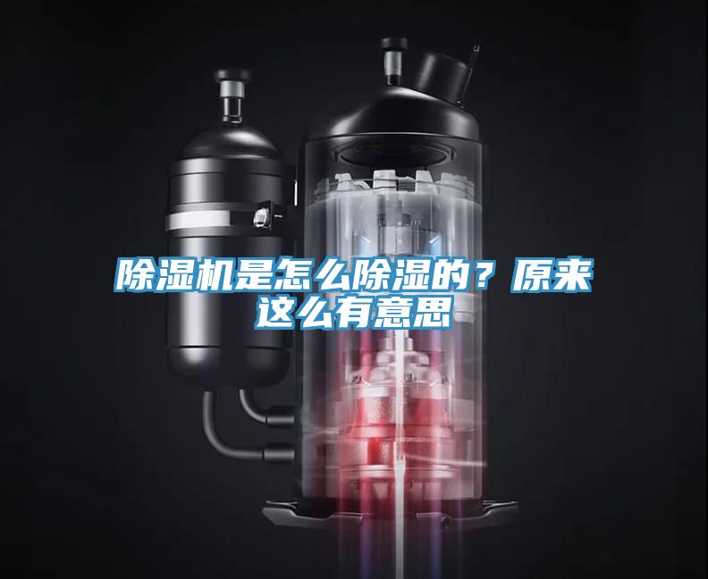 辣椒视频APP下载并安装是怎么除湿的？原来这么有意思