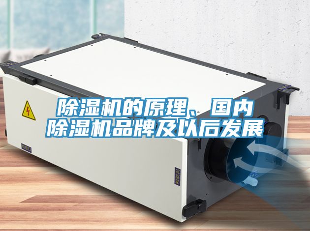 辣椒视频APP下载并安装的原理、国内辣椒视频APP下载并安装品牌及以后发展