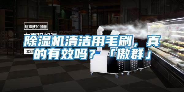 辣椒视频APP下载并安装清洁用毛刷，真的有效吗？「傲群」
