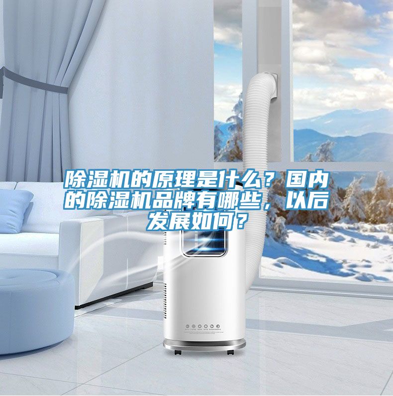 辣椒视频APP下载并安装的原理是什么？国内的辣椒视频APP下载并安装品牌有哪些，以后发展如何？