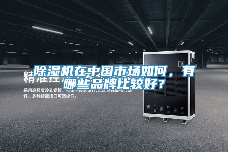 辣椒视频APP下载并安装在中国市场如何，有哪些品牌比较好？