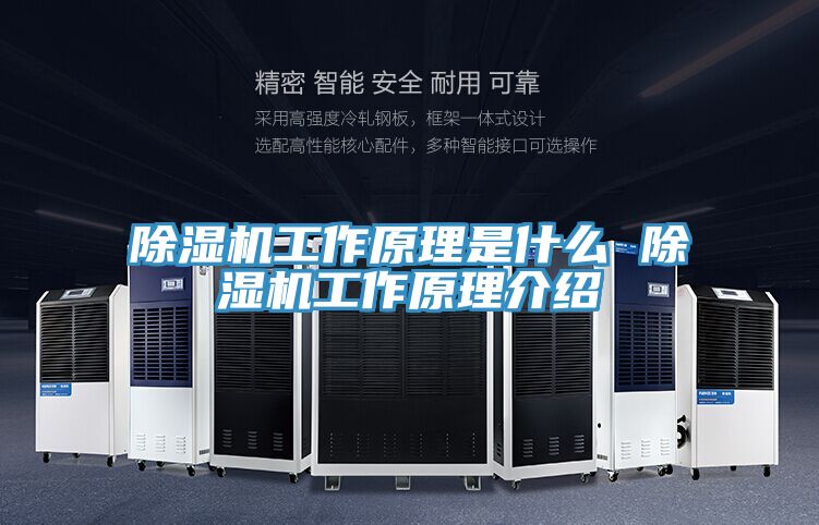 辣椒视频APP下载并安装工作原理是什么 辣椒视频APP下载并安装工作原理介绍