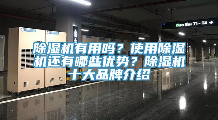 辣椒视频APP下载并安装有用吗？使用辣椒视频APP下载并安装还有哪些优势？辣椒视频APP下载并安装十大品牌介绍