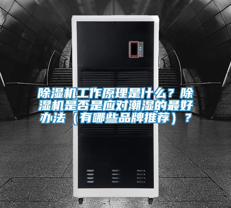 辣椒视频APP下载并安装工作原理是什么？辣椒视频APP下载并安装是否是应对潮湿的最好办法（有哪些品牌推荐）？