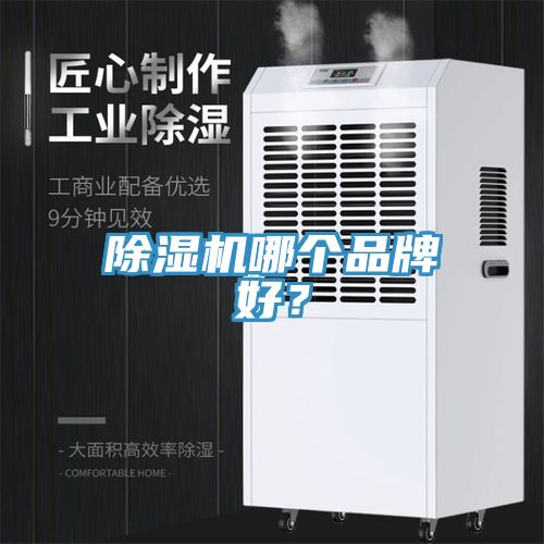 辣椒视频APP下载并安装哪个品牌好？