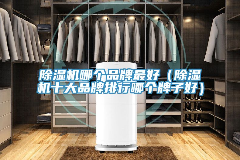 辣椒视频APP下载并安装哪个品牌最好（辣椒视频APP下载并安装十大品牌排行哪个牌子好）
