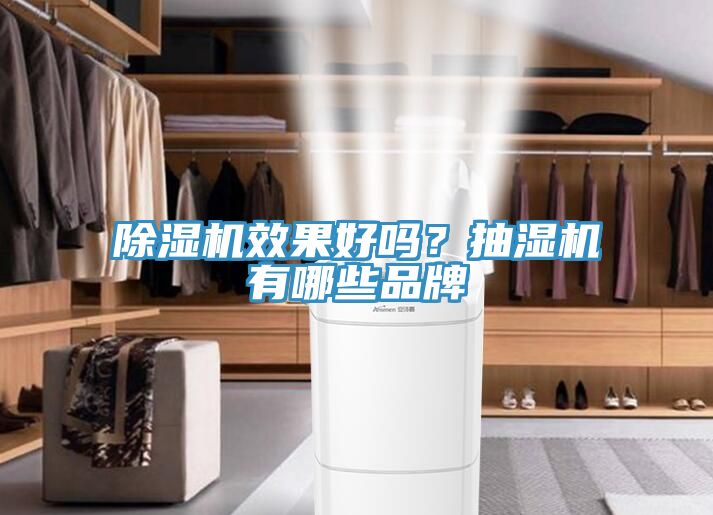 辣椒视频APP下载并安装效果好吗？抽湿机有哪些品牌