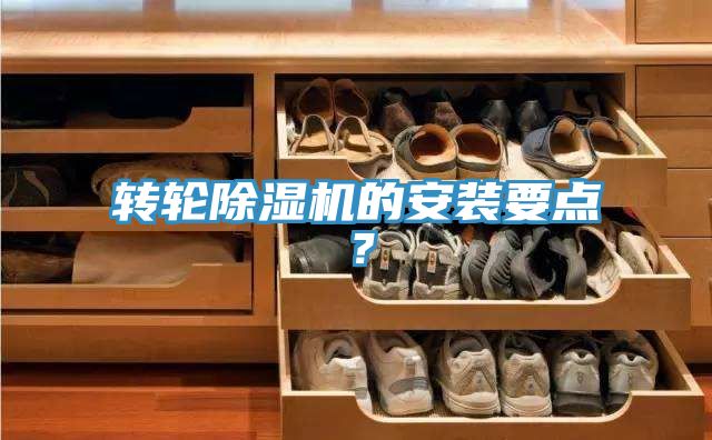 转轮辣椒视频APP下载并安装的安装要点？