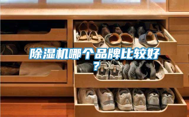辣椒视频APP下载并安装哪个品牌比较好？
