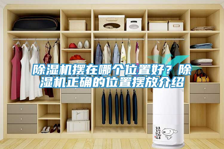 辣椒视频APP下载并安装摆在哪个位置好？辣椒视频APP下载并安装正确的位置摆放介绍