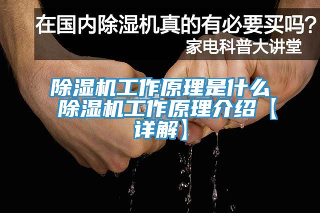 辣椒视频APP下载并安装工作原理是什么 辣椒视频APP下载并安装工作原理介绍【详解】