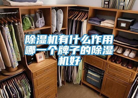 辣椒视频APP下载并安装有什么作用哪一个牌子的辣椒视频APP下载并安装好