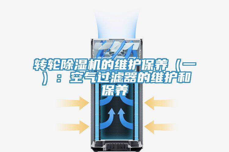 转轮辣椒视频APP下载并安装的维护保养（一）：空气过滤器的维护和保养
