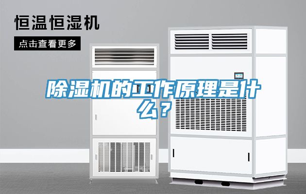 辣椒视频APP下载并安装的工作原理是什么？