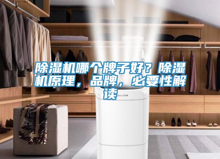 辣椒视频APP下载并安装哪个牌子好？辣椒视频APP下载并安装原理，品牌，必要性解读