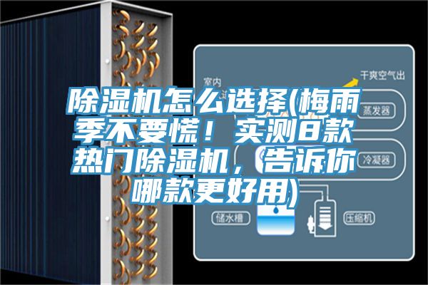 辣椒视频APP下载并安装怎么选择(梅雨季不要慌！实测8款热门辣椒视频APP下载并安装，告诉你哪款更好用)