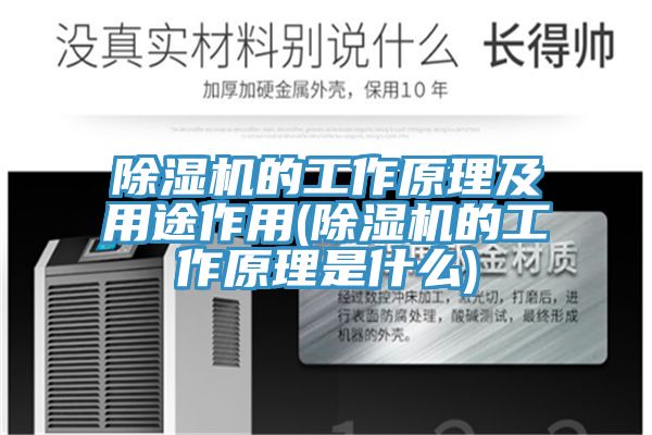 辣椒视频APP下载并安装的工作原理及用途作用(辣椒视频APP下载并安装的工作原理是什么)