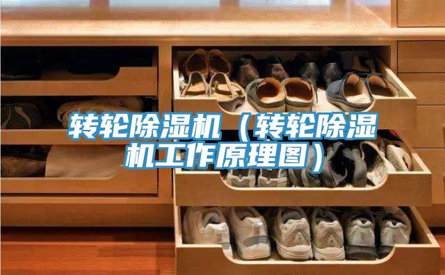 转轮辣椒视频APP下载并安装（转轮辣椒视频APP下载并安装工作原理图）
