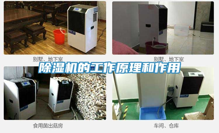 辣椒视频APP下载并安装的工作原理和作用