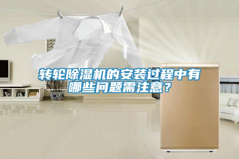 转轮辣椒视频APP下载并安装的安装过程中有哪些问题需注意？