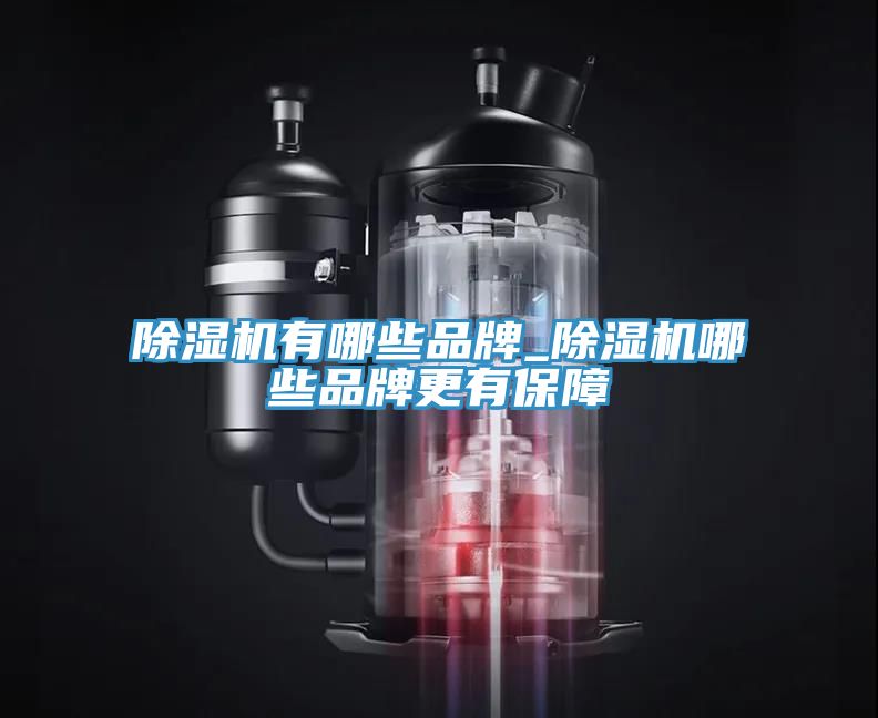 辣椒视频APP下载并安装有哪些品牌_辣椒视频APP下载并安装哪些品牌更有保障