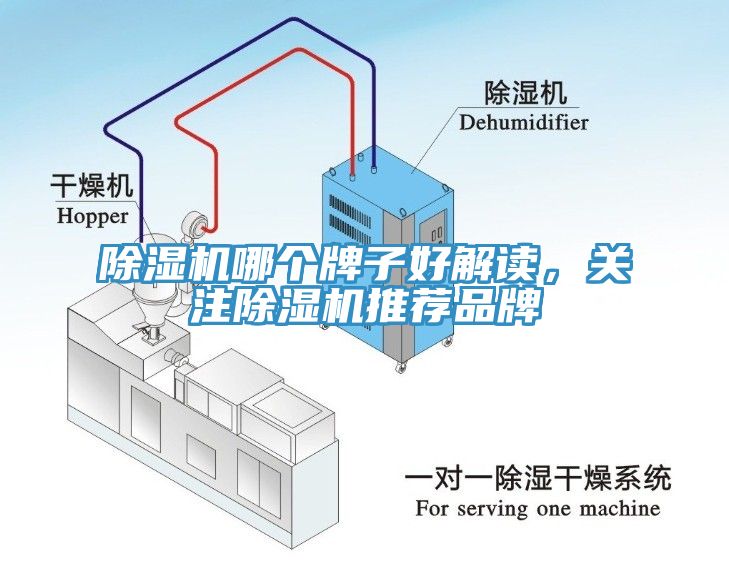 辣椒视频APP下载并安装哪个牌子好解读，关注辣椒视频APP下载并安装推荐品牌