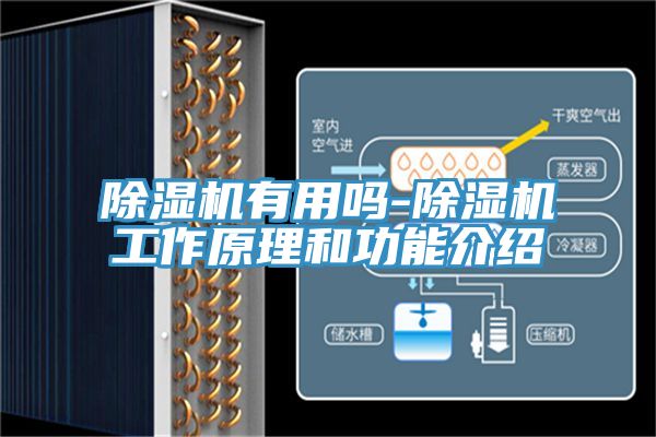 辣椒视频APP下载并安装有用吗-辣椒视频APP下载并安装工作原理和功能介绍