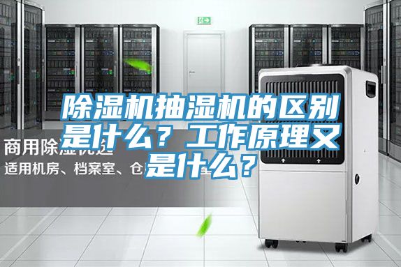 辣椒视频APP下载并安装抽湿机的区别是什么？工作原理又是什么？