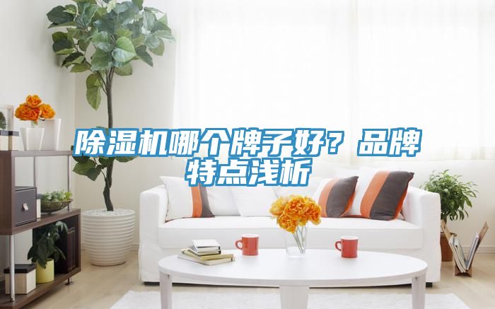 辣椒视频APP下载并安装哪个牌子好？品牌特点浅析