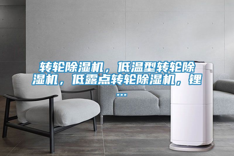 转轮辣椒视频APP下载并安装，低温型转轮辣椒视频APP下载并安装，低露点转轮辣椒视频APP下载并安装，锂 ...