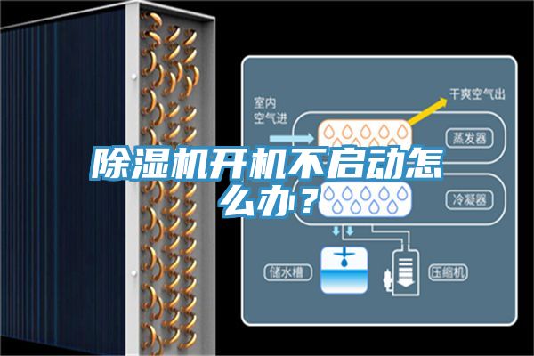 辣椒视频APP下载并安装开机不启动怎么办？